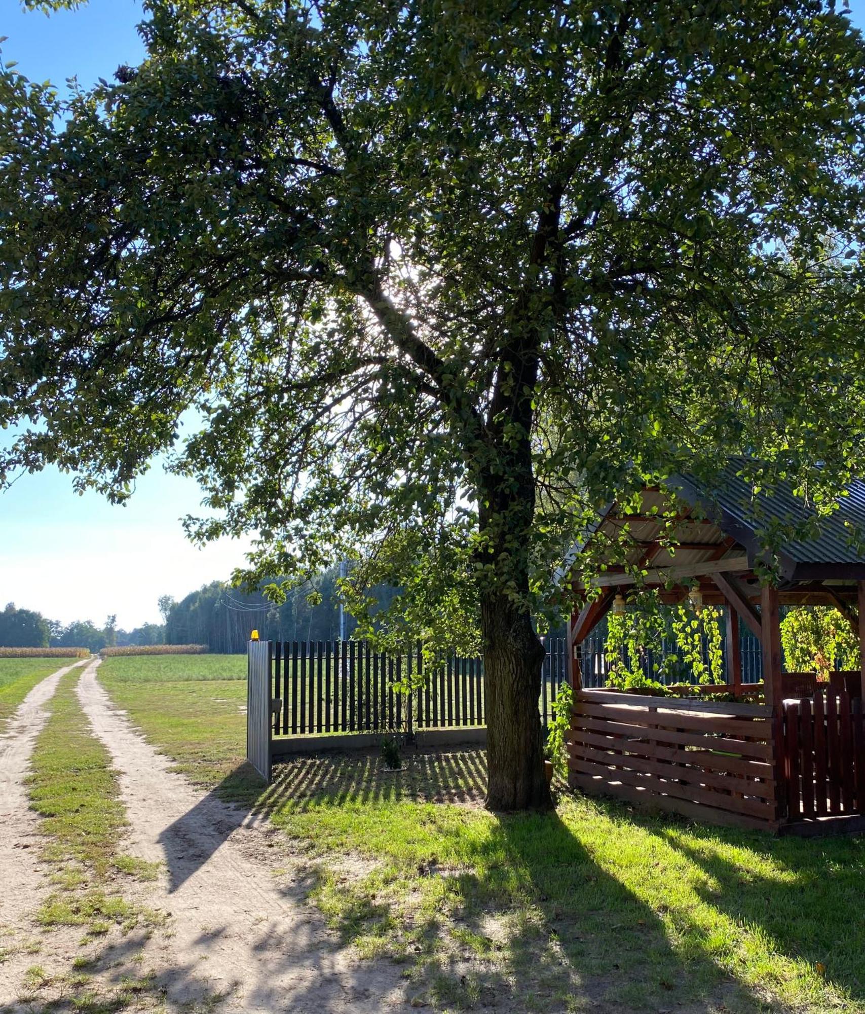 Maciejowka Gospodarstwo Agroturystyczne Poddebice ภายนอก รูปภาพ